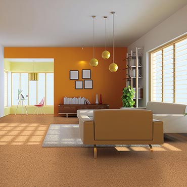 Chatham Carpet Interiors